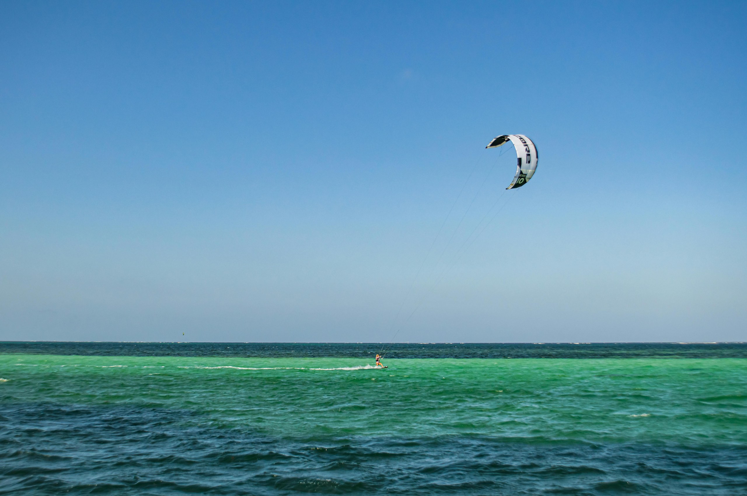 Palmen entlang der Diani Beach